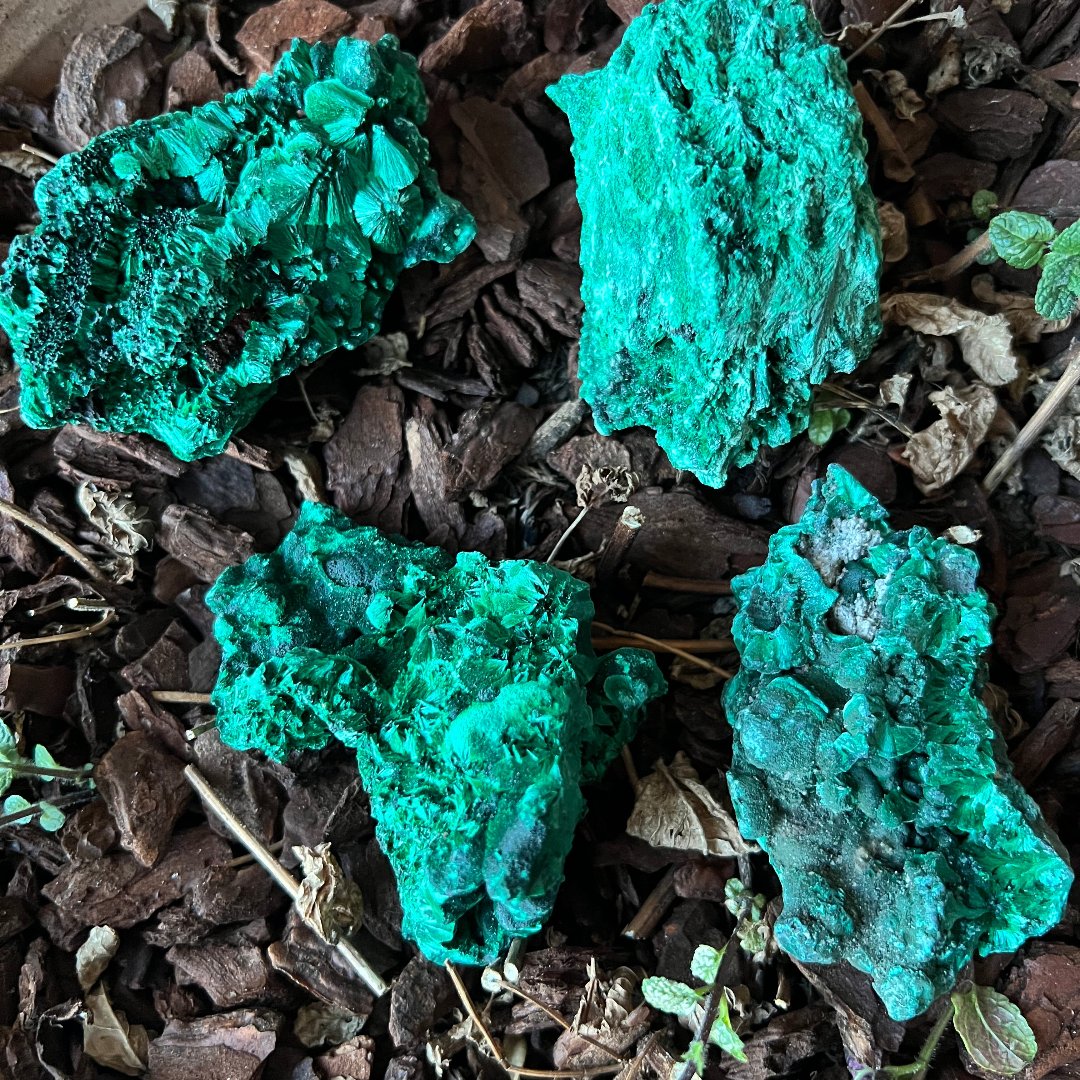 Malachite Fibrosa Vellutata